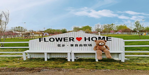 金贵牡丹花乡第 15 张图片