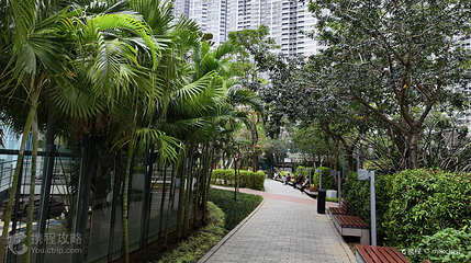 氹仔中央公園第 2 张图片