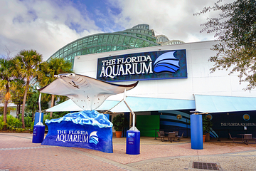 佛州水族馆第 7 张图片