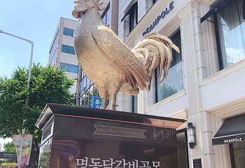 春川烤鸡排胡同第 4 张图片