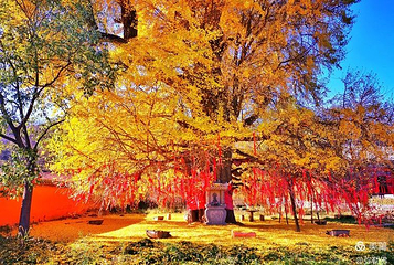 白鹿寺第 1 张图片