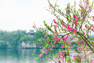 桃花潭第 15 张图片
