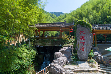 木坑竹海第 7 张图片