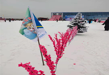 红海·七星雪滑雪场第 8 张图片