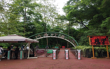 川西竹海景区第 45 张图片