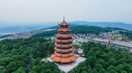 铁山坪森林公园第 1 张图片