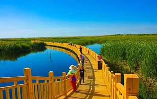 酒泉市六分湿地公园