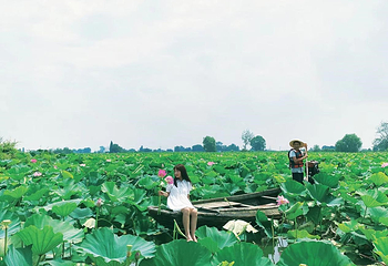 洪湖湿地生态旅游区第 5 张图片