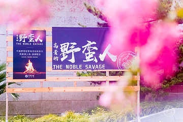 牛路野营度假村(上海海湾国家森林公园店)第 26 张图片