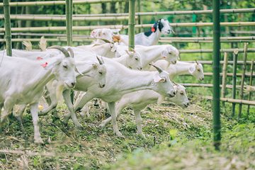 欢溪原自然公社第 11 张图片