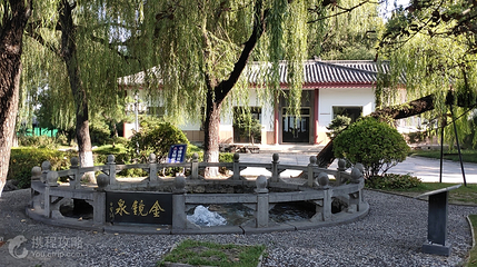 金镜泉第 4 张图片