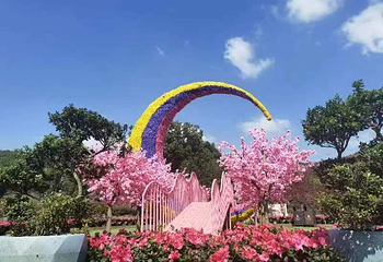 南湖多彩植物园第 19 张图片