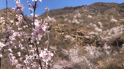 北京药王谷风景区第 48 张图片