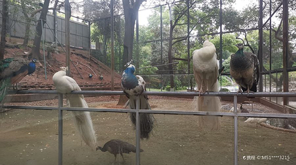 衡阳动物园第 1 张图片