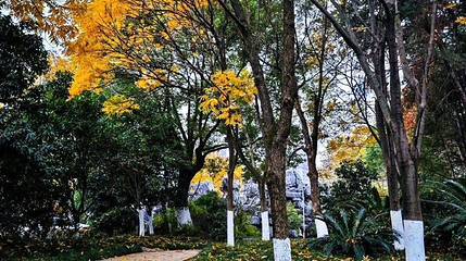 滨江公园第 1 张图片