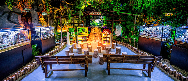 蓬蓬动物王国(万达广场B区店)