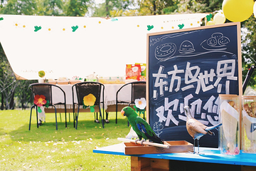 顾村公园东方鸟世界第 1 张图片