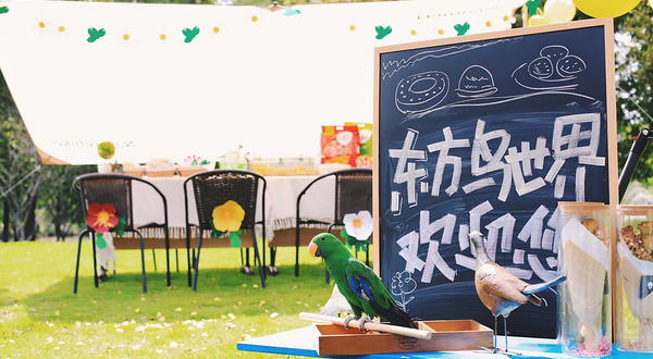 顾村公园东方鸟世界