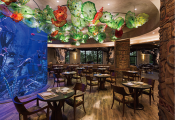 长隆横琴湾酒店(珠海长隆旗舰店)·海豚自助餐厅第 17 张图片