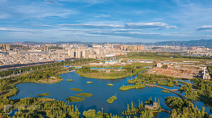 斗南湿地公园第 3 张图片