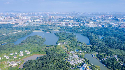 江北新区佛手湖中央生态公园第 1 张图片