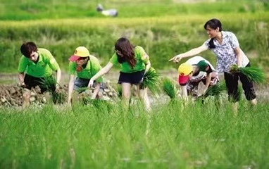 柠檬乐园第 3 张图片
