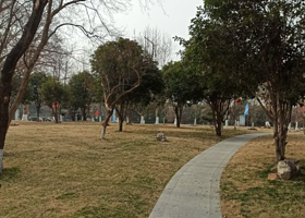 兴化市人民公园