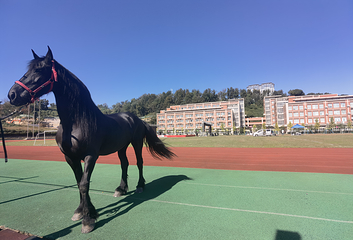 温岭田园牧歌旅游度假区第 12 张图片