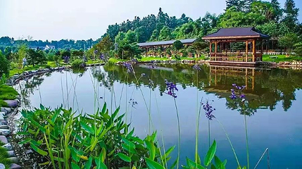锦绣江南园林度假庄园第 1 张图片