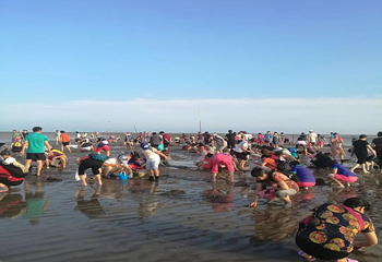 趣赶海旅游度假区第 6 张图片