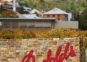 奔富玛吉尔酒庄