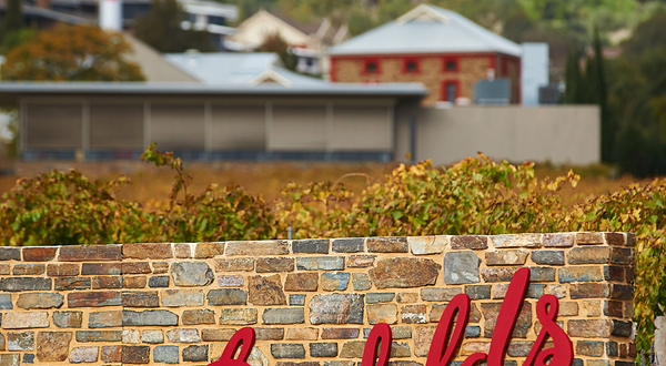 奔富玛吉尔酒庄