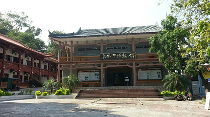 高州市博物馆第 1 张图片