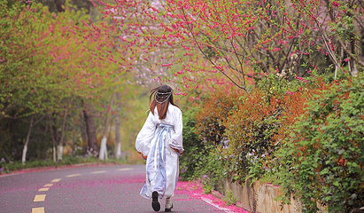 花乡茶谷旅游景区第 82 张图片