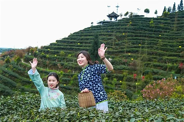 茶溪谷第 61 张图片