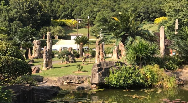 深圳仙湖植物园-化石森林