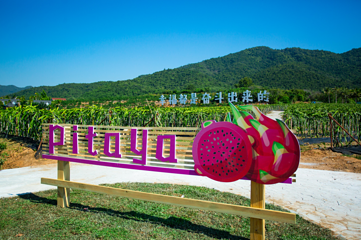 大茅远洋生态村第 3 张图片