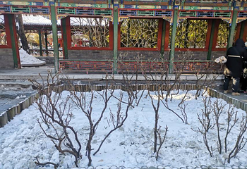 地坛公园第 59 张图片