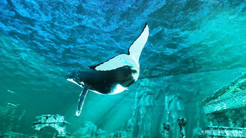 杭州悬空玻璃艺术馆