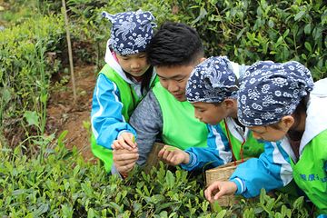 茶溪谷第 88 张图片