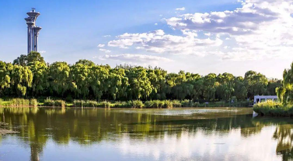 爱伴Family乐园(奥森店)