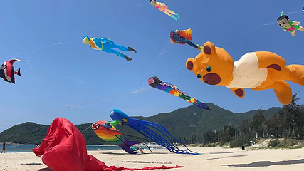 西涌国际滨海旅游区第 13 张图片
