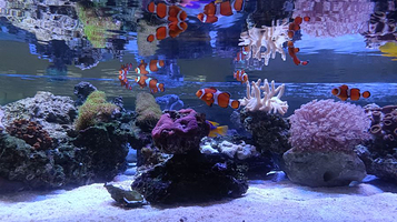 淄博四维蓝舟科普教育基地