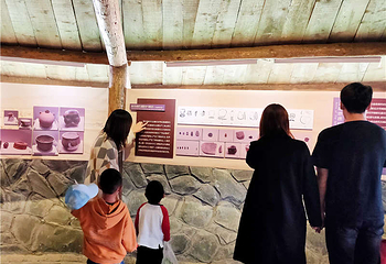 恋乡农场(玉米冒险村)第 87 张图片
