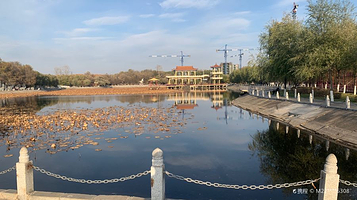 人民公园(中央路)