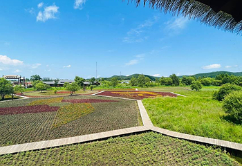 大石头亚光湖国家湿地公园第 12 张图片