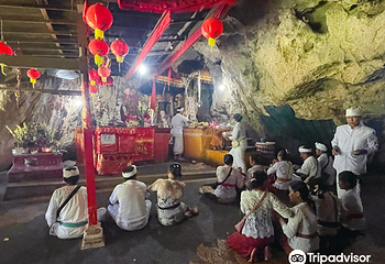 佩妮达岛第 164 张图片