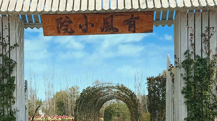 有风小院第 1 张图片