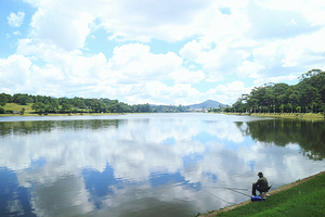天鹿湖森林公园