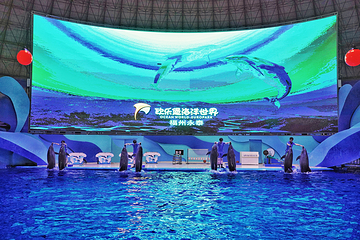 福州欧乐堡海洋世界第 84 张图片